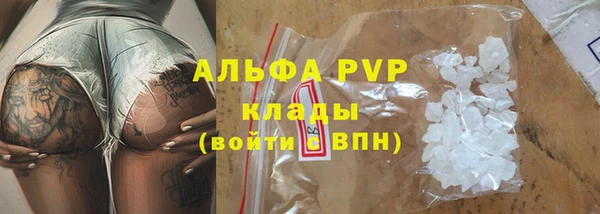 мдпв Долгопрудный