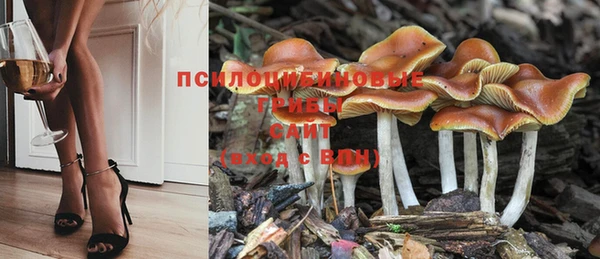 мдпв Долгопрудный