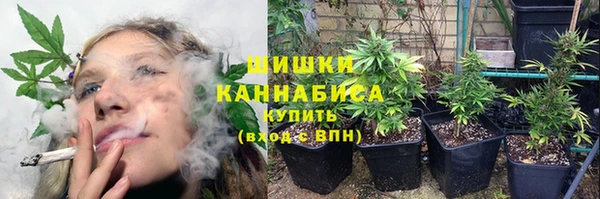 каннабис Майский