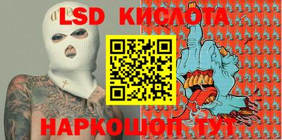 шишки Абакан