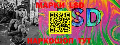 шишки Абакан