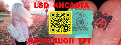 шишки Абакан