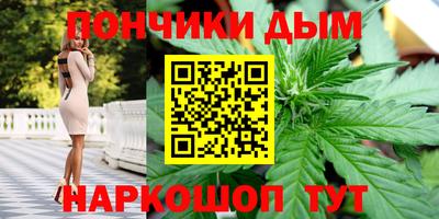 шишки Абакан