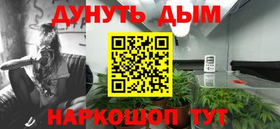 шишки Абакан