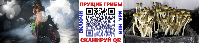 Псилоцибиновые грибы мухоморы  Сердобск 