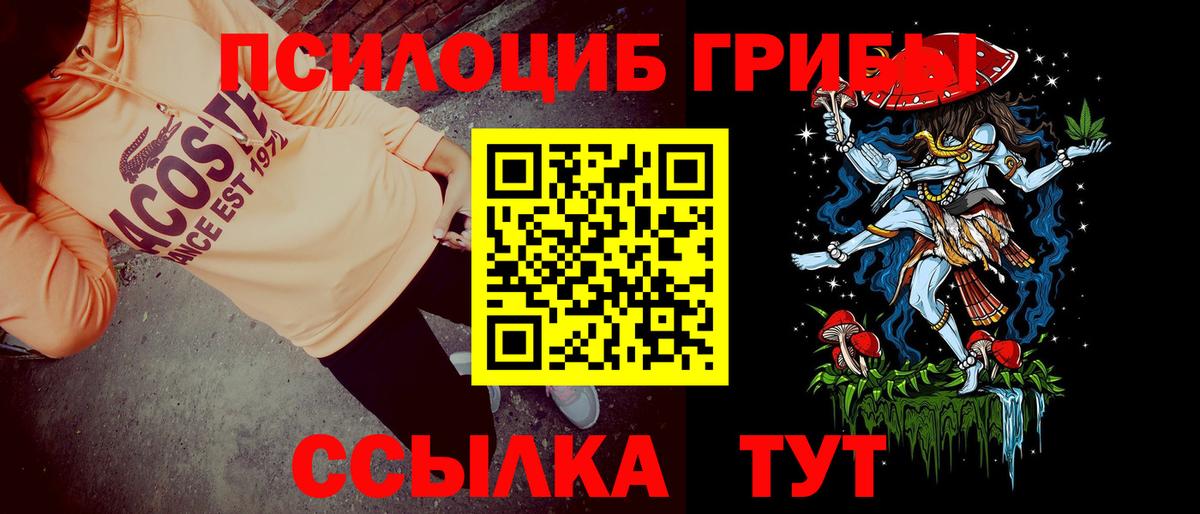 Псилоцибиновые грибы мухоморы Сердобск