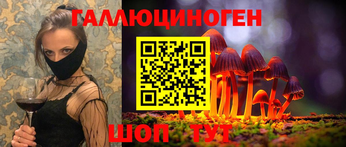 Псилоцибиновые грибы Magic Shrooms  Вход с VPN  Сердобск 