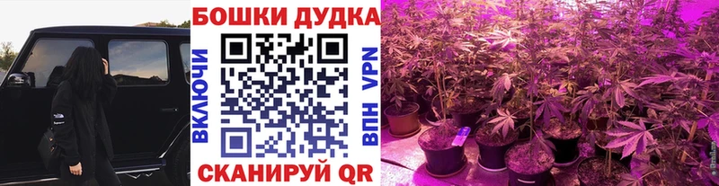 сколько стоит  Сердобск  Бошки марихуана VHQ 